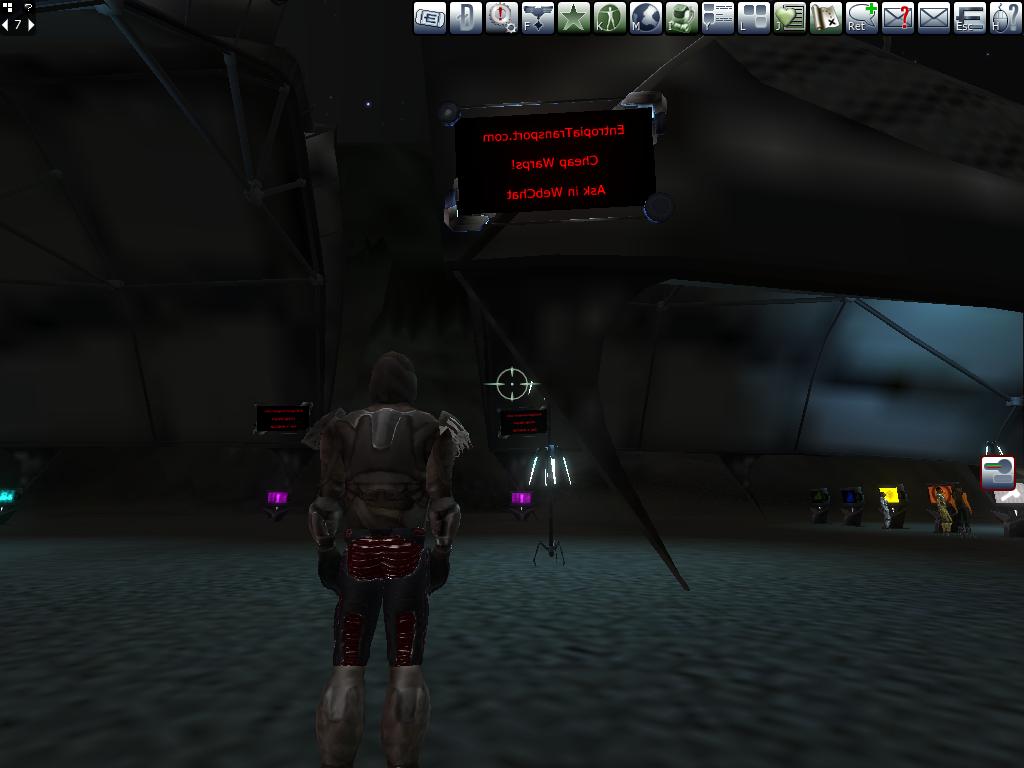 bug.JPG