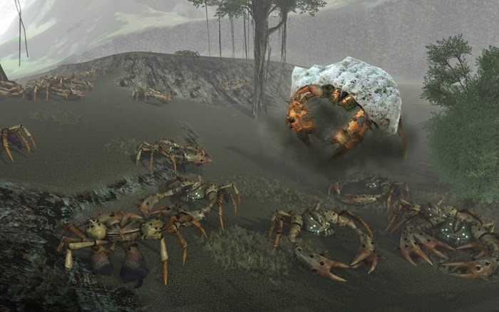 hermit claw.jpg