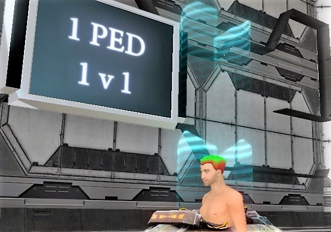 hub bug.jpg