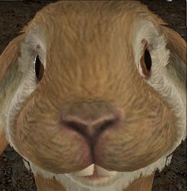 output_kOeeYT.gif