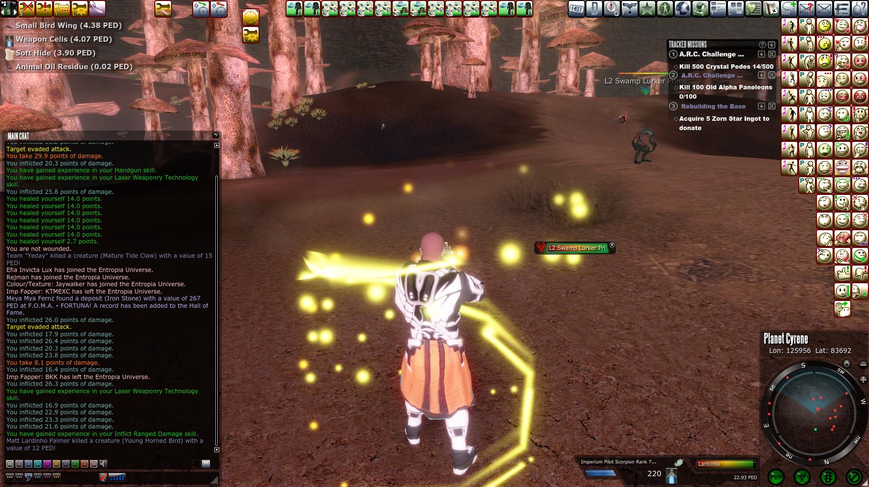 Solo Global 529.jpg