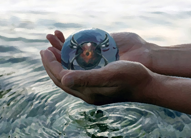 World-Water-Day_pineta-hotels_trentino_vacanza-eco_vacanza-solidale_alto-adige.jpg