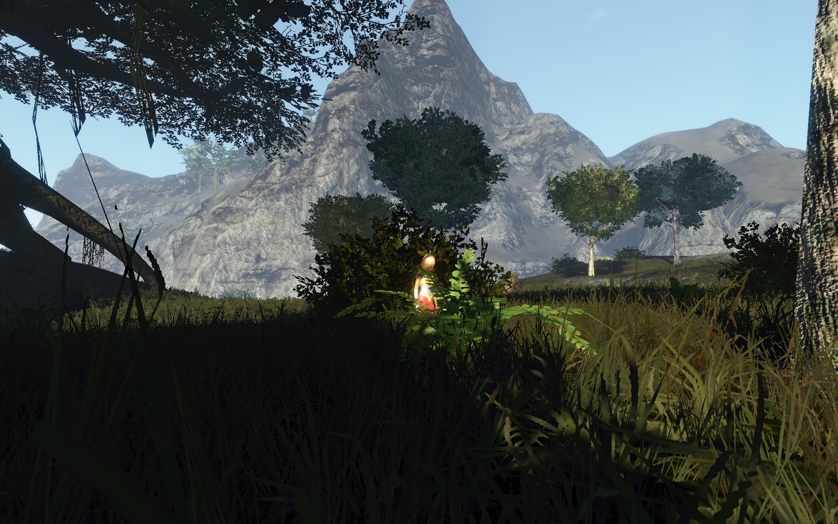 A9Landscape.jpg