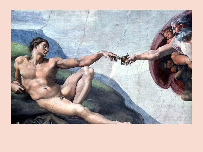 arte6.jpg