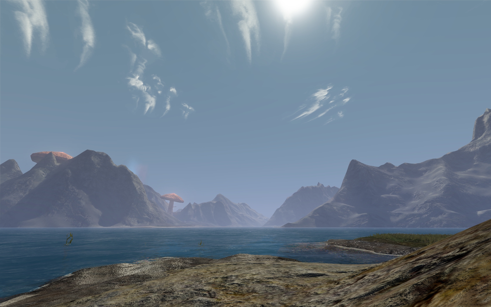B2Landscape.jpg