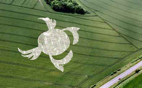 cyrene crop circle.jpg