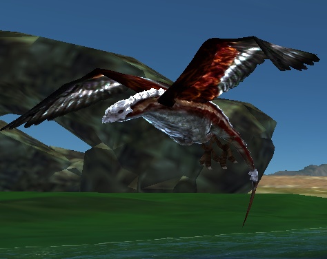 Cyrene_RhynchoBird_LooksSameAsSkullBird_2016-10-02.jpg
