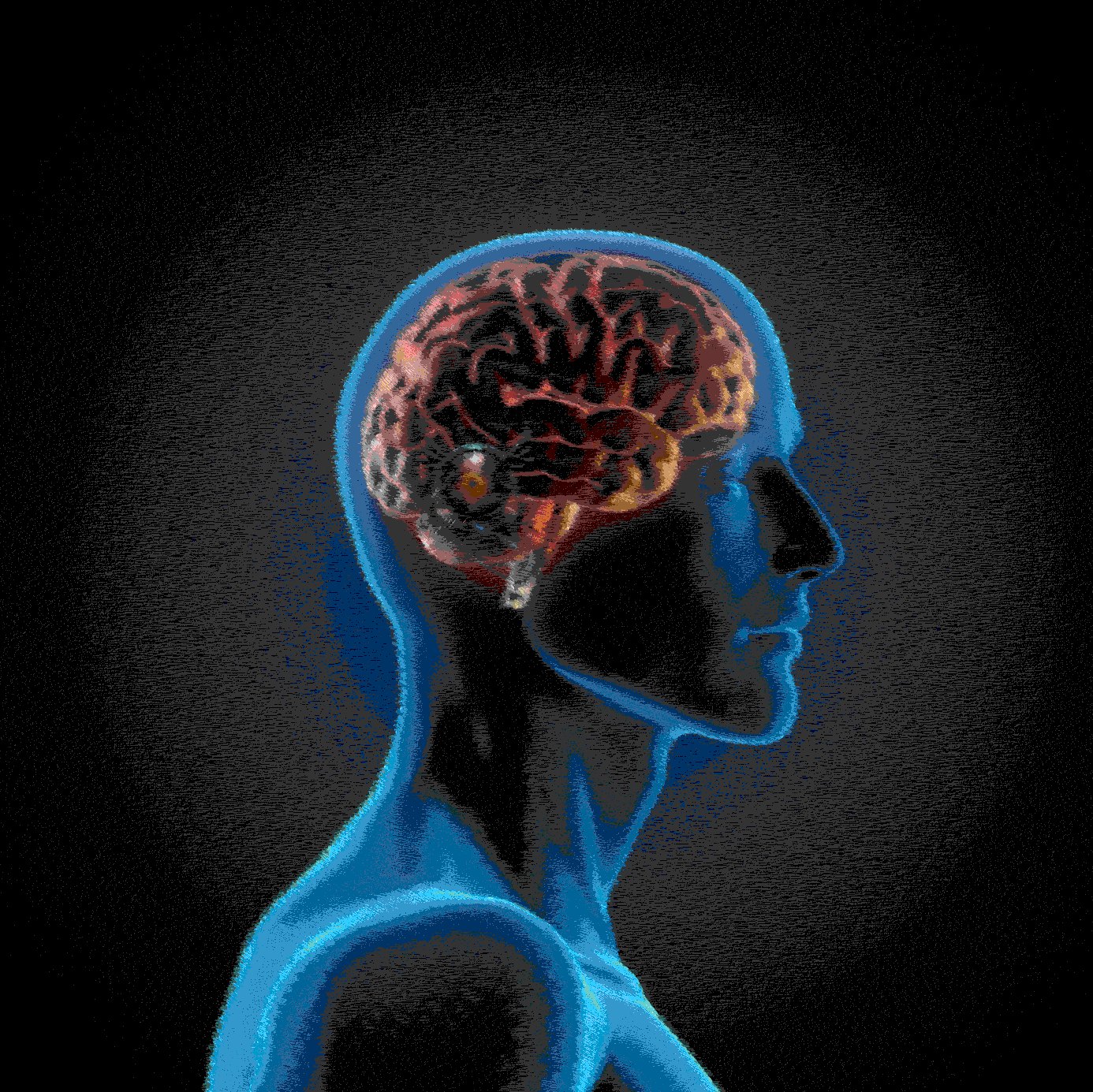 enhanced scan.jpg