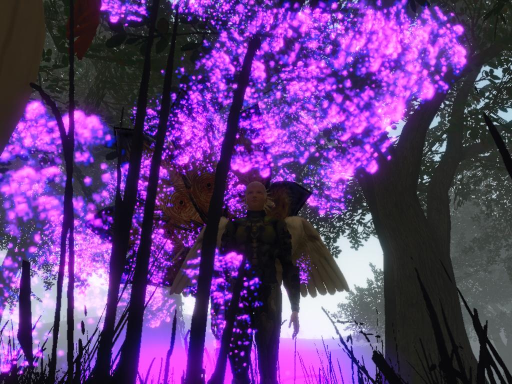 Entropia 2012-05-04 16-07-24-54.jpg
