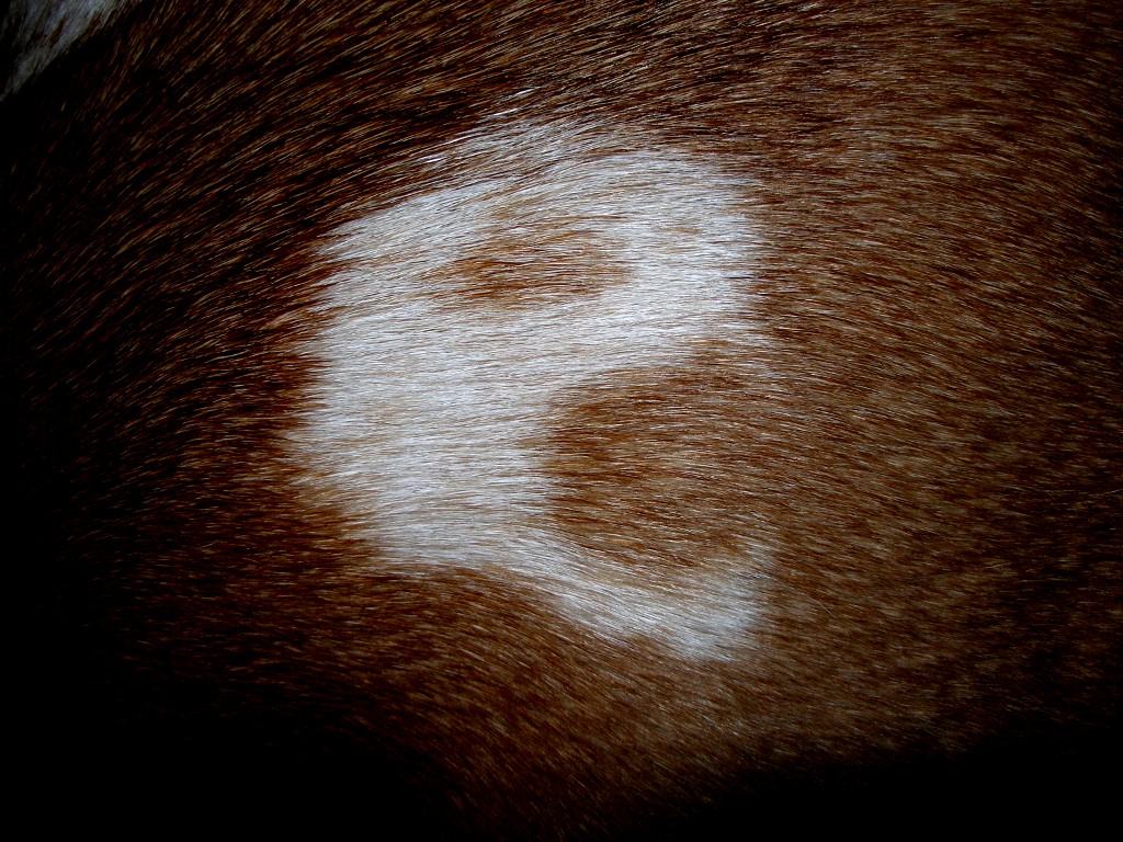Evil Cyrene Pacman Symbol.JPG
