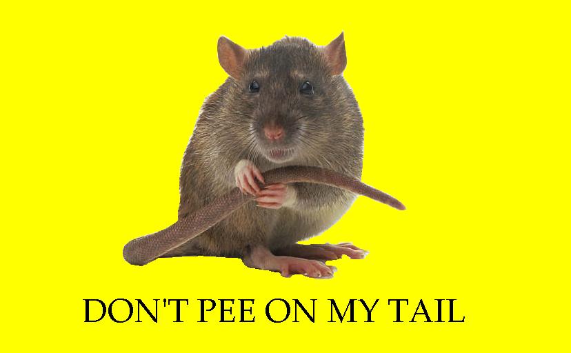 tail.jpg