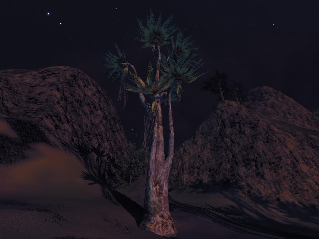 UniqueTree.jpg
