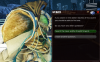 Zyn'nix6.png